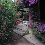 Maison De Dans Un Village De A100 M. De La * Badesi